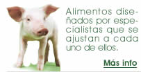 Alimentos diseñados por especialistas que se ajustan a cada animales como Cerdos, Pollos, Ponedoras, Conejos, Aves, Ganaderia, Camarones