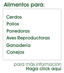 Alimentos para Cerdos, Pollos, Ponedoras, Aves Reproductoras, Ganaderia, Conejos, Camarones