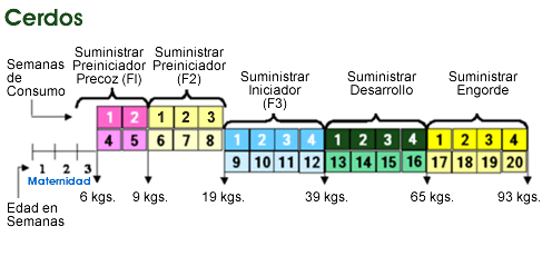 Programa de Alimentacion para Cerdos