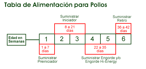 Tabla de Alimentación para Pollos